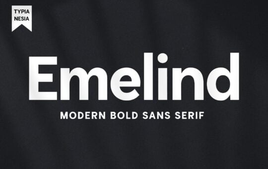 Emelind-Modern-Bold-Sans-Serif-Font-1-1.jpg