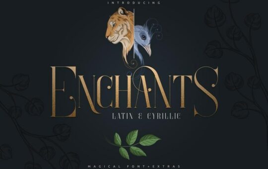 Enchants-Magical-Serif-Font-1.jpg