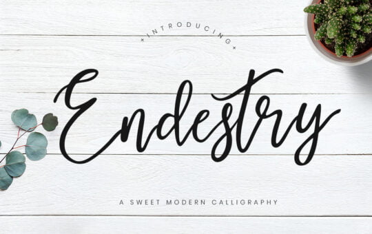 Endestry-Modern-Calligraphy-Font-1.jpg