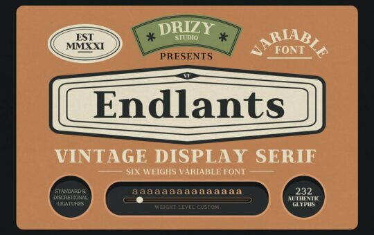 Endlants-Serif-Font-Family-1.jpg