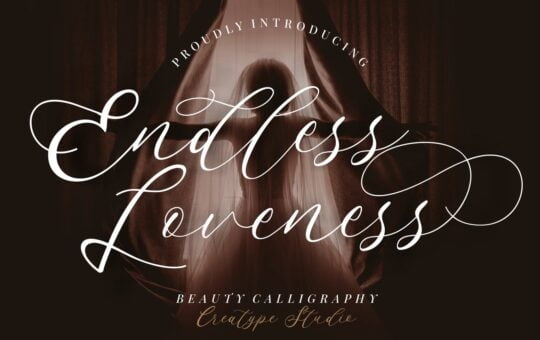 Endless-Loveness-Calligraphy-Font-1.jpg
