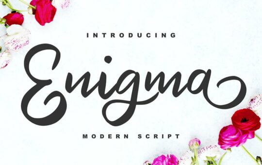 Enigma-Modern-Script-Font-1.jpg