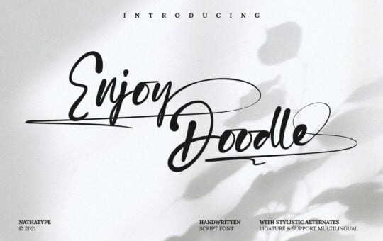 Enjoy-Doodle-Handwritten-Font-1.jpg