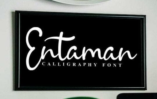 Entaman-Script-Font-1.jpg