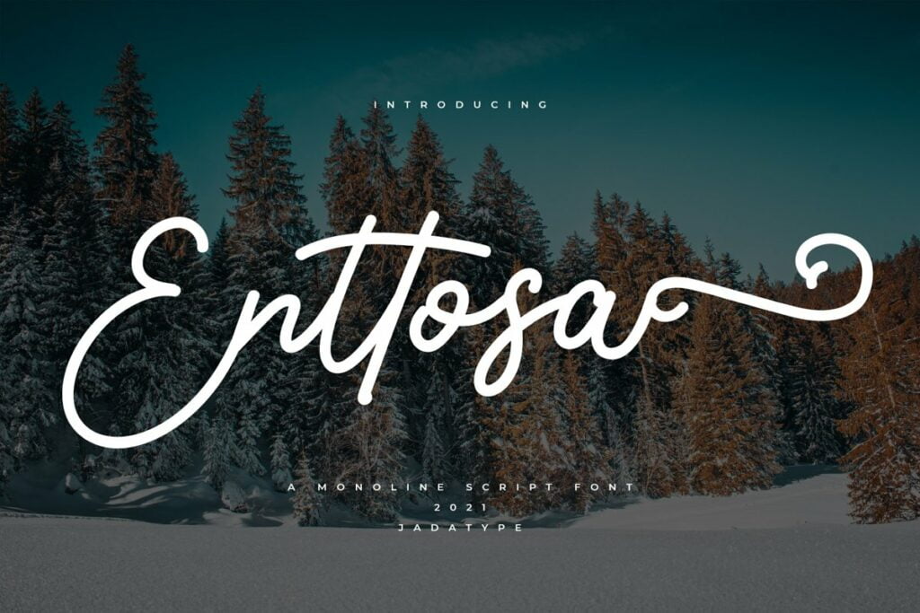 Enttosa-Font.jpg