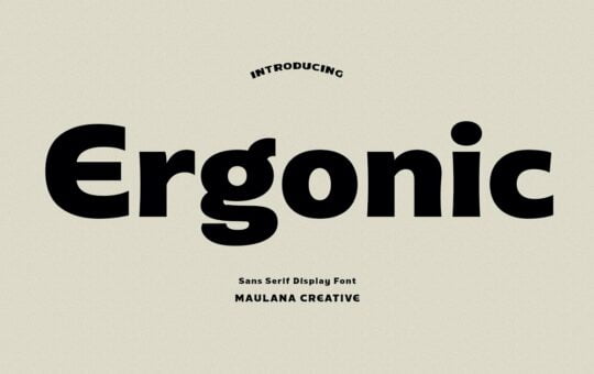 Ergonic-Display-Sans-Font-1.jpg