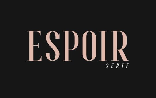 Espoir-Serif-Font-Family.jpg