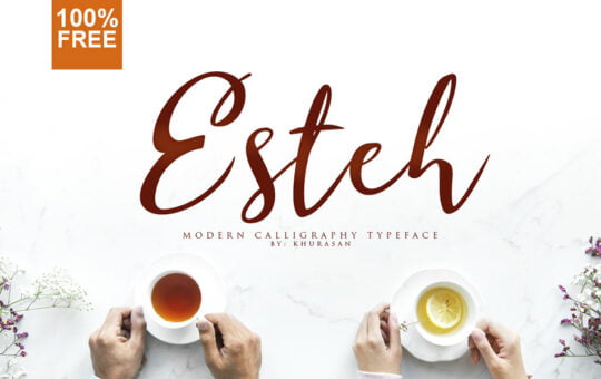 Esteh-Script-Calligraphy-Font-1.jpg