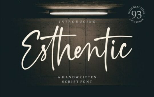 Esthentic-Handwritten-Script-Font-1.jpg