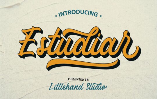 Estudiar-Modern-Script-Font-1.jpg