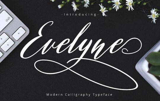 Evelyne-Script-Font.jpg