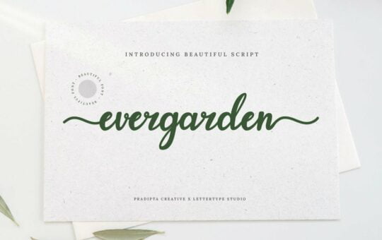 Evergarden-Font.jpg