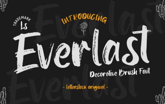 Everlast-Script-Brush-Font-1.jpg