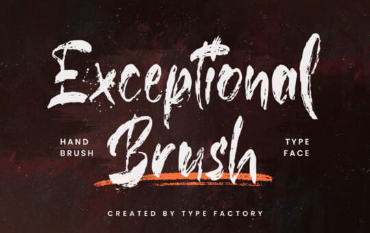 Exceptional-Brush-Script-Font-1.jpg