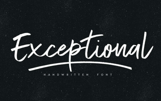 Exceptional-Script-Font-1.jpg