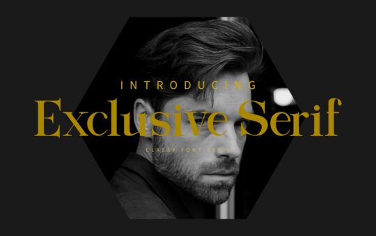 Exclusive-Serif-Font-1.jpg