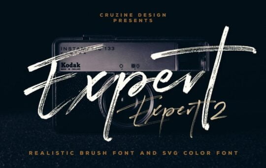 Expert-Script-Brush-Font-1.jpg