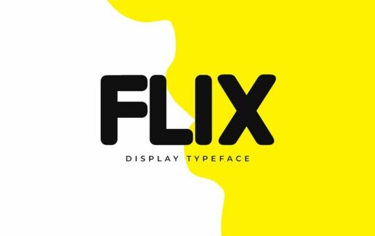FLIX-Unique-Display-Logo-Typeface.jpg