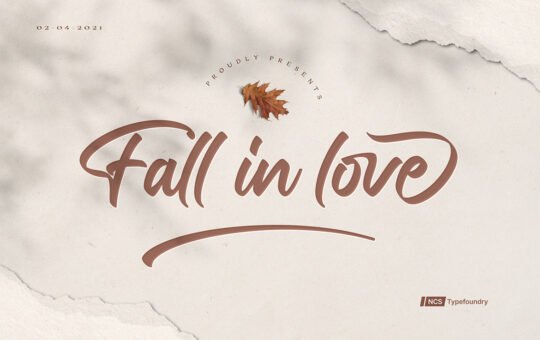 Fall-in-love-Bold-Script-Font-1.jpg