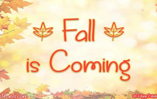 Fall-is-Coming-Font.jpg