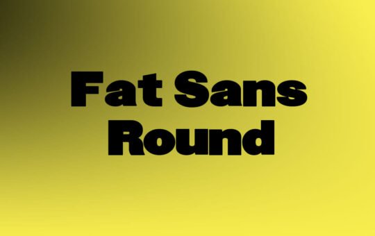 Fat-Sans-Round-Font-1.jpg