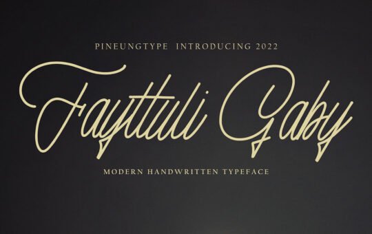 Fayttuli-Gaby-Monoline-Font-1.jpg