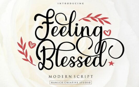 Feeling-Blessed-Script-Font.jpg