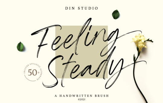 Feeling-Steady-Brush-Font-1.jpg