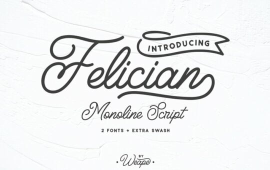 Felician-Script-Font.jpg