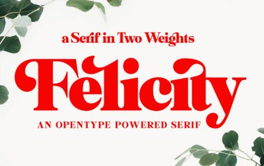 Felicity-Serif-Typeface-1.jpg