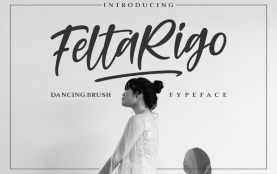 Feltarigo-Brush-Font.jpg