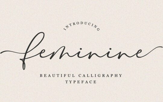 Feminine-Font.jpg