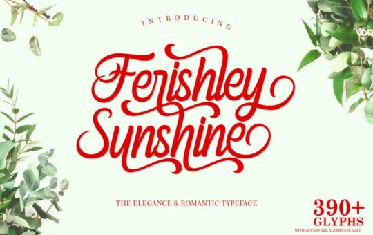 Ferishley-Sunshine-Script-Font-1.jpg