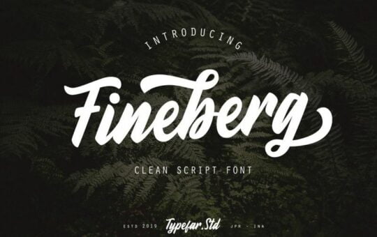 Fineberg-Script-Font.jpg