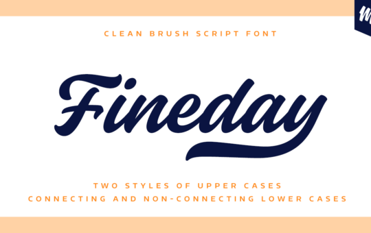 Fineday-Bold-Script-Font-1.png