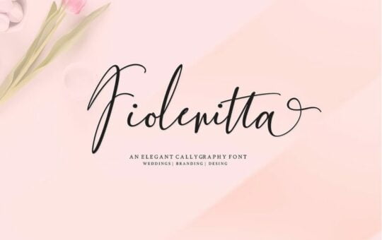 Fiolenitta-Script-Font.jpg