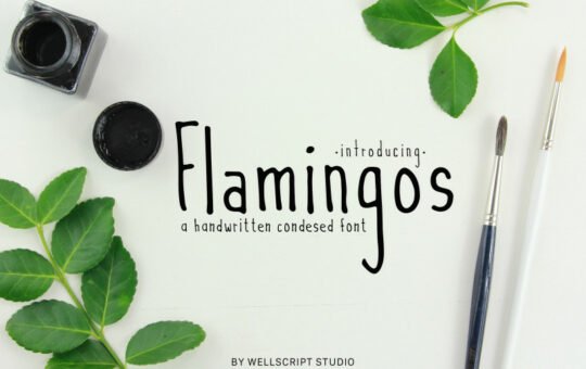 Flamingos-Handwritten-Font.jpg
