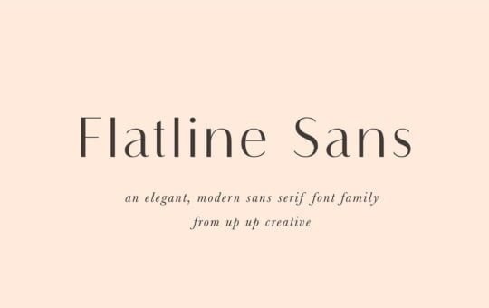 Flatline-Sans-Font-Family.jpg