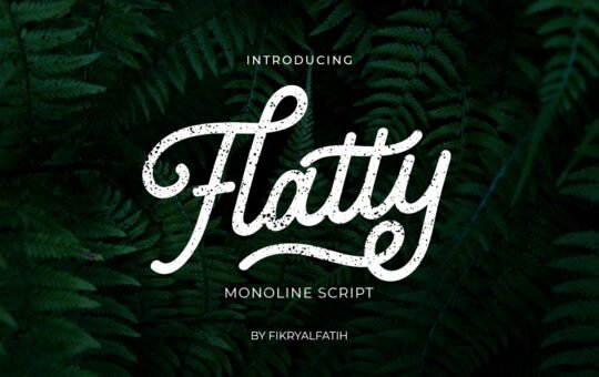 Flatty-Monoline-Script-Font-1.jpg