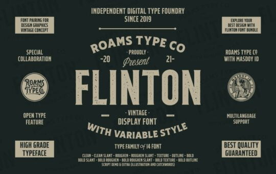 Flinton-Family-Fonts-18386811-1-1.jpg