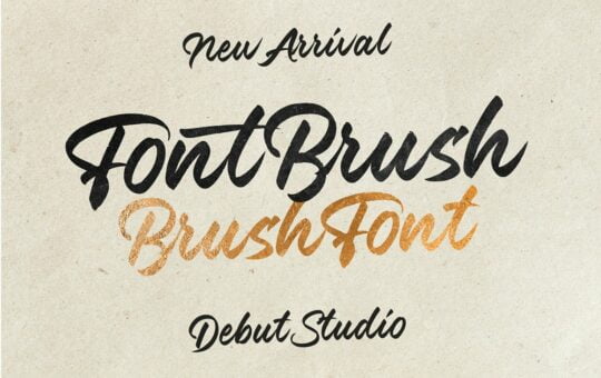 Font-Brush-Typeface-1.jpg