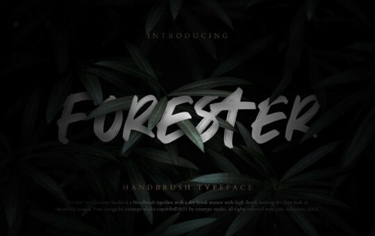 Forester-Brush-Script-Font-1.jpg