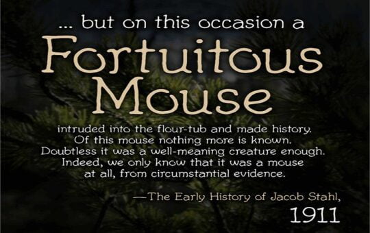 Fortuitous-Mouse-Font-1.jpg
