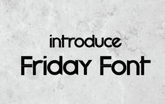 Friday-Sans-Serif-Font-1.jpg