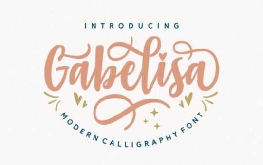 Gabelisa-Script-Font.jpg