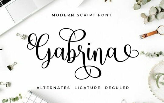 Gabrina-Calligraphy-Script-Font-1.jpg