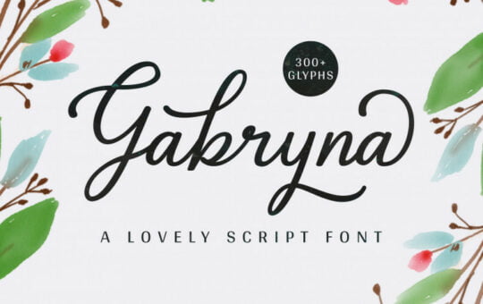 Gabryna-Script-Font.jpg