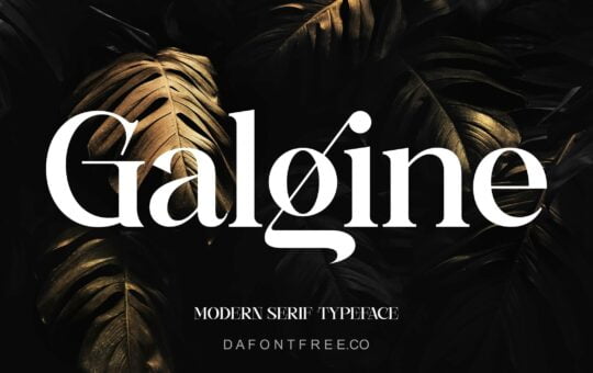Galgine-Modern-Serif-Font-1.jpg