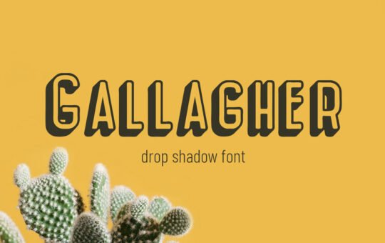 Gallagher-Fancy-Font-1.jpg
