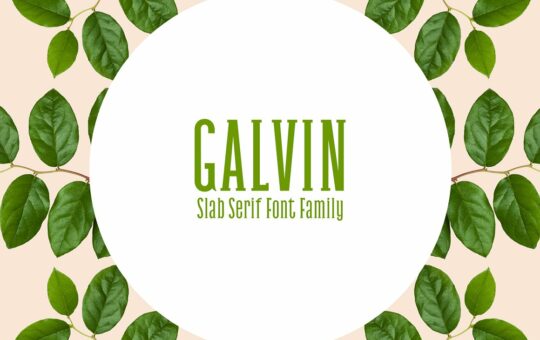 Galvin-Font.jpg